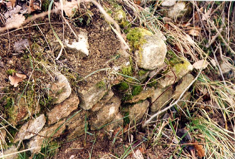 11-02.jpg - Restes de la culée amont dans le talus au-dessus de la pièce d'eau (1995); (photo Jean-Claude Litaudon).