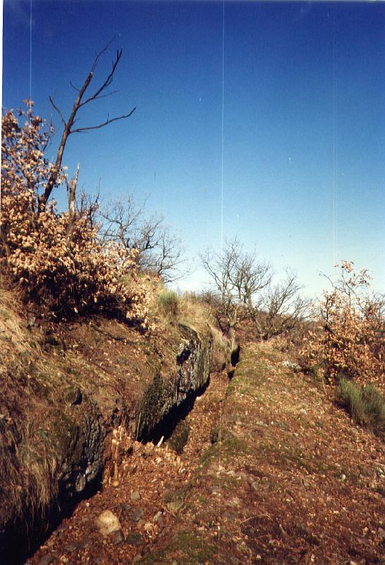 12-01.jpg - La tranchée dans le poudingue
