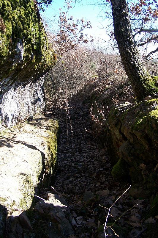 12-02.jpg - Les arbres qui permettent souvent de repérer la tranchée-aqueduc lorsque celle-ci est emplie, se posent aussi souvent sur les bords de celle-ci, dégradant un peu plus l'ouvrage. (photo Jean-Claude Litaudon).