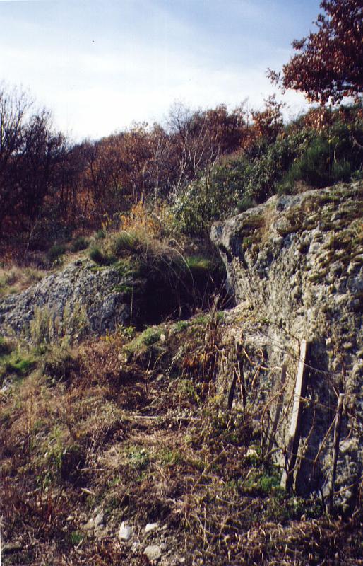 12-04.jpg - C'est la fin de la tranchée, le canal est maintenant repérable à la haie d'épineux qui l'occupe; l'aqueduc continue en direction de la route de Leymieux, soit pour rejoindre le réservoir de chasse du siphon, soit pour entreprendre le tour de la vallée de Chagnon. (photo Jean-Claude litaudon).