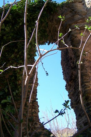 100_6002.jpg