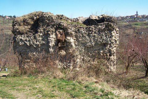 100_6007.jpg