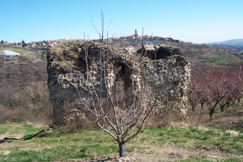 100_6008.jpg