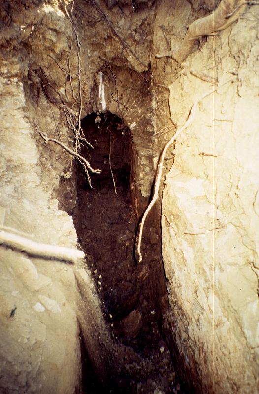 27-01.jpg - En 1996, la découverte de la sortie d'un tunnel, situé en amont du pont du Rieu, devait réserver de belles surprises. Ici, c'est au moment des travaux de dégagement du canal (Photo Jean-Claude Litaudon).