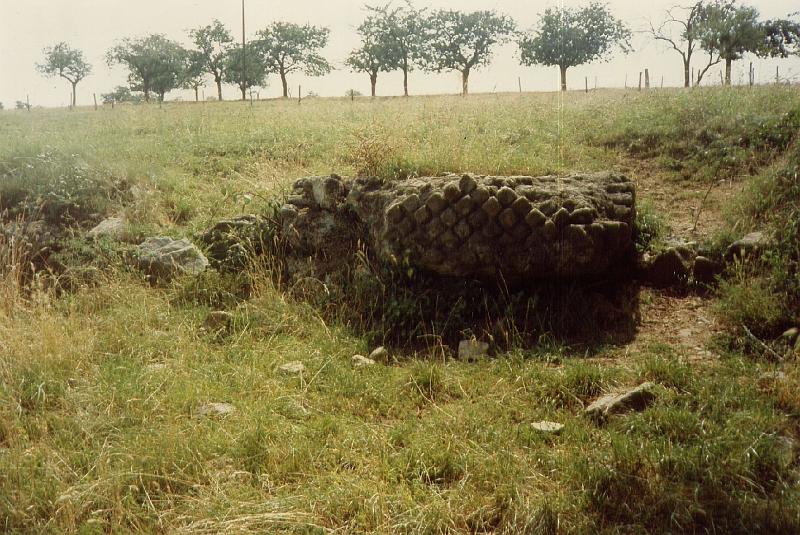 43-02.jpg - Le second regard vers l'aval, de petit module, avec lui aussi un certain nombre de réticulés encore en place (Photo Jean-Claude Litaudon).
