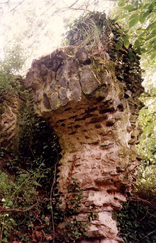 49-02.jpg - De temps en temps, la broussaille et les ronces envahissent le vestige, dont de nombreux vestiges jonchent le sol alentour (Photo Jean-Claude Litaudon);