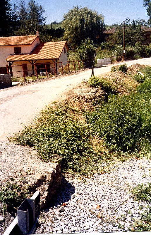 5-01.jpg - C'était en 1997. Le réticulé est encore bien apparent au bord de la route.Photo Jean-Claude Litaudon