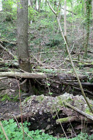 52-08.jpg - Une base de pile et des blocs épars dans le lit de la rivière sont visibles lorsque la végétation ne les a pas encore "étouffés" (Photo John Gwinnell).