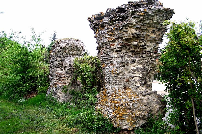 62-13.jpg - (Photo Jean-Claude Litaudon).