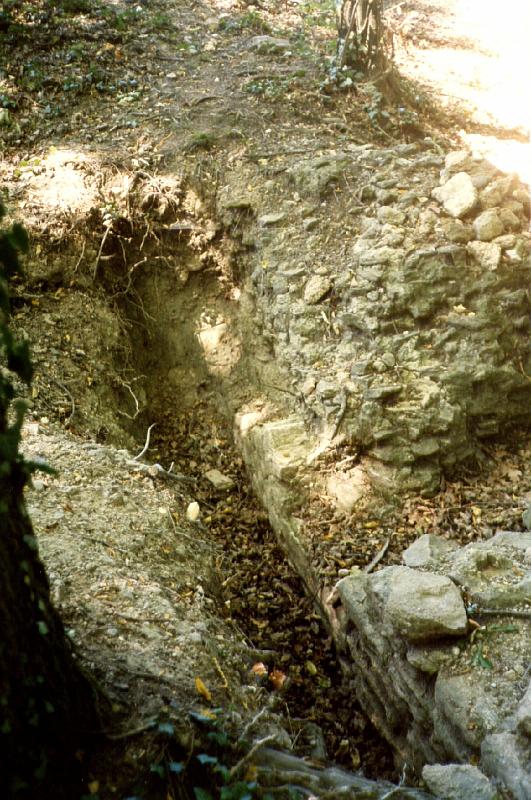 8-02.jpg - Il subsiste rive gauche, sous les feuilles mortes, plusieurs éléments des piles du pont. (Photo Jean-claude Litaudon).