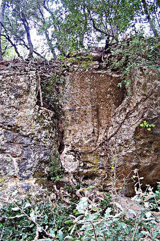100_8752b.jpg