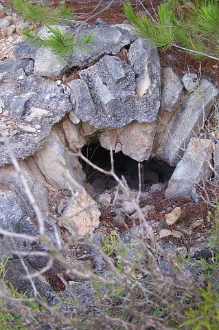 100_8785.JPG