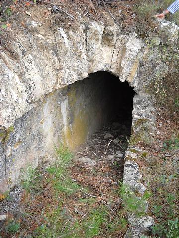 DSCN1343.JPG